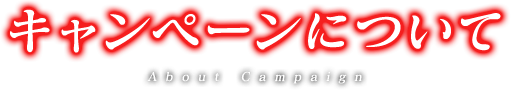 キャンペーンについて